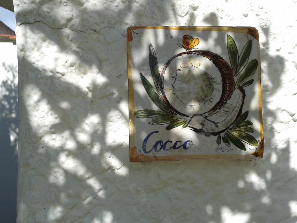 Willa Pitosforo - Ulivo - Cocco Forio di Ischia Zewnętrze zdjęcie